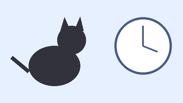 חתול ושעון
